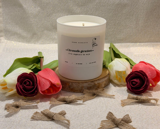 Citronnelle géranium